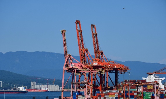 Do czego służą zawiesia?