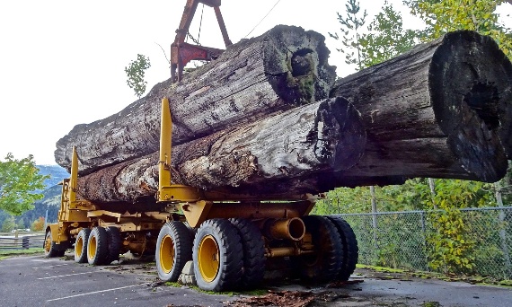 Jak używać łańcuchów mocujących?