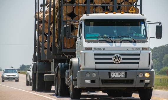 Odciągi łańcuchowe - co to?